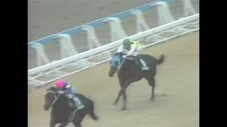 ダイタクヘリオス 1990年 第24回日刊スポーツ賞 シンザン記念(GIII) (優勝馬：ニチドウサンダー) (実況：ラジオたんぱ)