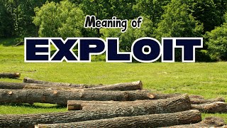 What is the meaning of Exploit?