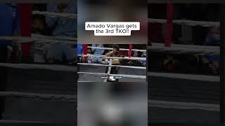 Amado Vargas gets the 3rd tko over Angel Luna #fyp #boxeo #boxing #vargasfamily #vargasdynasty