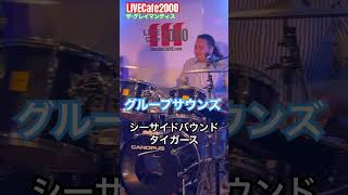 【 LIVECafe2000】毎月出演！ #ライブカフェ2000 #グループサウンズ #シーサイドバウンド #タイガース #グレイマンティス #shorts