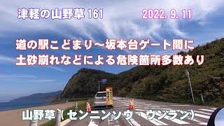 津軽の山野草161(道の駅こどまり先の土砂崩れ状況・ｾﾝﾆﾝｿｳ・ｳﾝﾗﾝ)