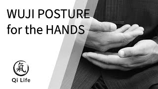 Wuji Posture for the Hands - Vlog 111