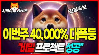 [시바이누 코인] 비밀 프로젝트 성공하면 40,000% 대폭등 올 것! 초전박살 시간이 얼마 없다!