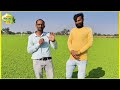 पान मैथी फा यदे का सौ दा बन रही है जानिए खेती की संपूर्ण जानकारी pan maithi ki kheti farming