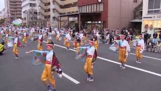 よさこい東海道 前日祭(2013/11/9) 「大富士with雄大グループ」