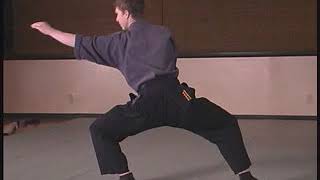 Ura shuto tsuki gata 表手刀突き , striking form in Seigan no Kamae