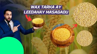 MASAGADA IYO FAA'IIDOOYINKA CAAFIMAAD EE AY INOOLEEDHAY,(Health Benefits of Millet)