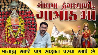 ગોધમા ડુંગર ગાત્રાડ ધામ I આ ડુંગરનો રોચક ઈતિહાસ I માતાજીનાં પ્રાગટયથી લઈને આજદિન સુધીના ઇતિહાસની ઝલક