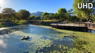 [4K] Walking in Changpo-won Park, Seoul, full of cosmos flowers 도봉산과 수락산이 배경! 서울창포원 산책