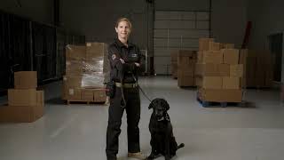 Allied Universal Enhanced Protection Services