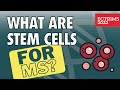 What Is Stem Cell Treatment For MS? | ECTRIMS 2022