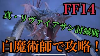 【新生FF14】真リヴァイアサン討伐戦！ヒーラー 白魔術師の攻略実況！KOMA ch