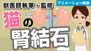 猫の腎結石について【獣医師執筆監修】症状から治療方法まで