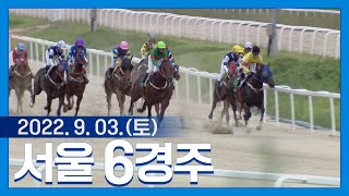 (서울) 22.09.03.6R [JRA(일본)트로피] 치프인디, 50조에서의 첫승을 트로피로!