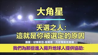 通靈信息【大角星】天選之人：這就是你被選定的原因；「大角星人說：我們的訊息，旨在在地球能量不斷演變的時期為您帶來希望、鼓勵和訊息。」