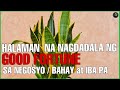 Mga Halaman na Pampaswerte sa Buhay , Negosyo at Iba pa | Bhes Tv