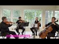 Canon in D by Pachelbel - The best Wedding Processional Songs by a String Quartet