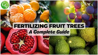 Optimal Fertilizing for Fruit Trees: Comprehensive Schedule \u0026 Guide for Lush Yields!