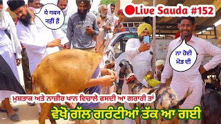 ਨਜ਼ੀਰ ਖਾਨ ਦੇ Live ਸੌਦੇ - goat farming - Live sauda 152 @ILTILANATV