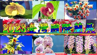 2023臺灣國際蘭展(臺灣蘭花生物科技園區)｜蘭花百樣品種–蝴蝶蘭、文心蘭、仙履蘭、君子蘭、蘭花之美一覽無遺｜蘭花的世界｜六隻巨大的恐龍就在身邊，從白堊紀到侏儸紀世界讓你身歷其境｜2023-03-06