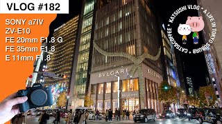 2022年銀座で仕事納め・ランチ・夜の銀座歩き / いつもの郊外暮らし・カフェ＆猫散歩・カフェでフィッシュサンド・茶トラをモフモフ | SONY a7IV \u0026 ZV-E10[4K vlog #182]