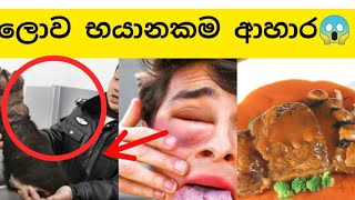 ලෝකයේ වෙනස්ම ආහාර වර්ගයන් || World Different Type of foods || World Info