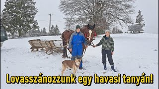 Lovasszánozni jó, ha itt a tél és persze ha van elég hó! Tomi egyedül előkészíti a lovat és a szánt!