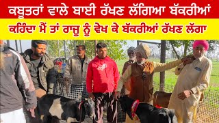 ਕਬੂਤਰਾਂ ਵਾਲਾ ਬਾਈ ਰੱਖਣ ਲੱਗਿਆ ਬੱਕਰੀਆਂ | Longowal Bakra Mandi #goats #goatfarming