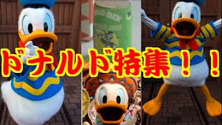 【ディズニー】ドナルドとのグリーティング特集！！