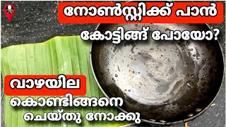 വാഴയില കൊണ്ടുള്ള ടിപ്പ് ഞെട്ടിക്കും | Useful kitchen hacks and tips in malayalam | Non stick pan