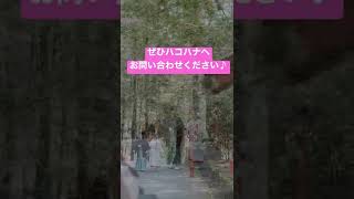 箱根神社 結婚式 ウェディング 宿泊 ロケフォト #shorts