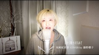 また逢う日まで/尾崎紀世彦 COVER by 藤野櫻子