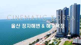 울산 정자해변 /Ulsan, Cinematic Korea Drone shot / 4K 드론영상소스-강동주상절리대,정자해수욕장,울산정자신도지,정자스위첸,해안도로,수변도시,동해안바다색