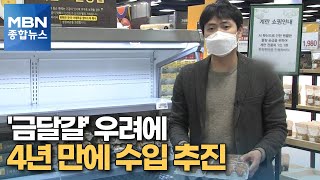 '금달걀' 우려에 4년 만에 '무관세 수입'…설 자금 92조 지원 [MBN 종합뉴스]