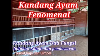 Kandang Ayam Dua Fungsi||chicken coop #Kandangfenomenal#kandangayam