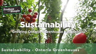 Sustainability in Ontario Greenhouses| Produce Made Simple