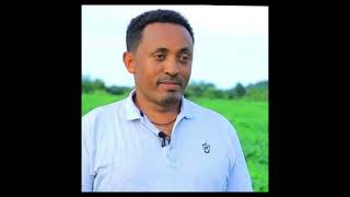 የምርምር ስራ ውጤቱ እንጂ ድካሙ ስለማይለካ ፈተናዎችን አልፈን የአኩሪ አተር ሰብል በስፋት እየተመረተ መሆኑ ትልቅ ስኬት ነው የጎንደር ግብርና ምርምር ማዕከል