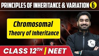 Principles of Inheritance & Variation 06 | Chromosomal Theory of Inheritance | Class 12th/NEET