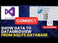 How to Connect SQLite Database with Visual Studio (Step-by-Step)