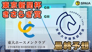 【東京新聞杯・きさらぎ賞 2024最終予想】東大HCの本命はGⅠ馬に勝利歴あり！　京大競馬研は過去のレース内容からウォーターリヒト本命（東大・京大式）