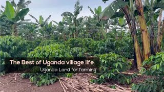 • The Simple Pleasures of Ugandan Village Life || Farming in Africa