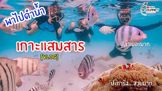 [Vlog] ดำน้ำ เกาะแสมสาร โอ้โห!! ปลา ปะการัง ทำไมสวยขนาดนี้ (Samae San Island)