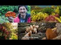 ipbes sustainable use of wild species assessment english