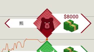 IQ Option。二元期权如何运作？