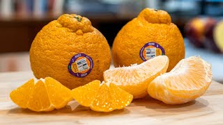 SUMO Citrus TASTE TEST