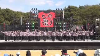 「京炎そでふれ！おどりっつ」こいや祭り2013　太陽の広場