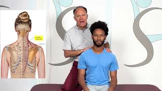 Levator Scapulae One Minute Muscle Stretching