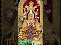 chandannagar jagadhatri puja 2023 helapukur procession viral trending shorts chandannagar 2023