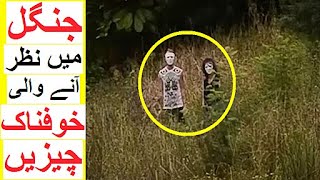 Scary Things Found in Jungles