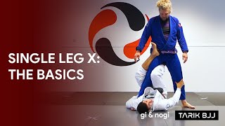 Single Leg X: Drills, Concept, Setup & Sweeping